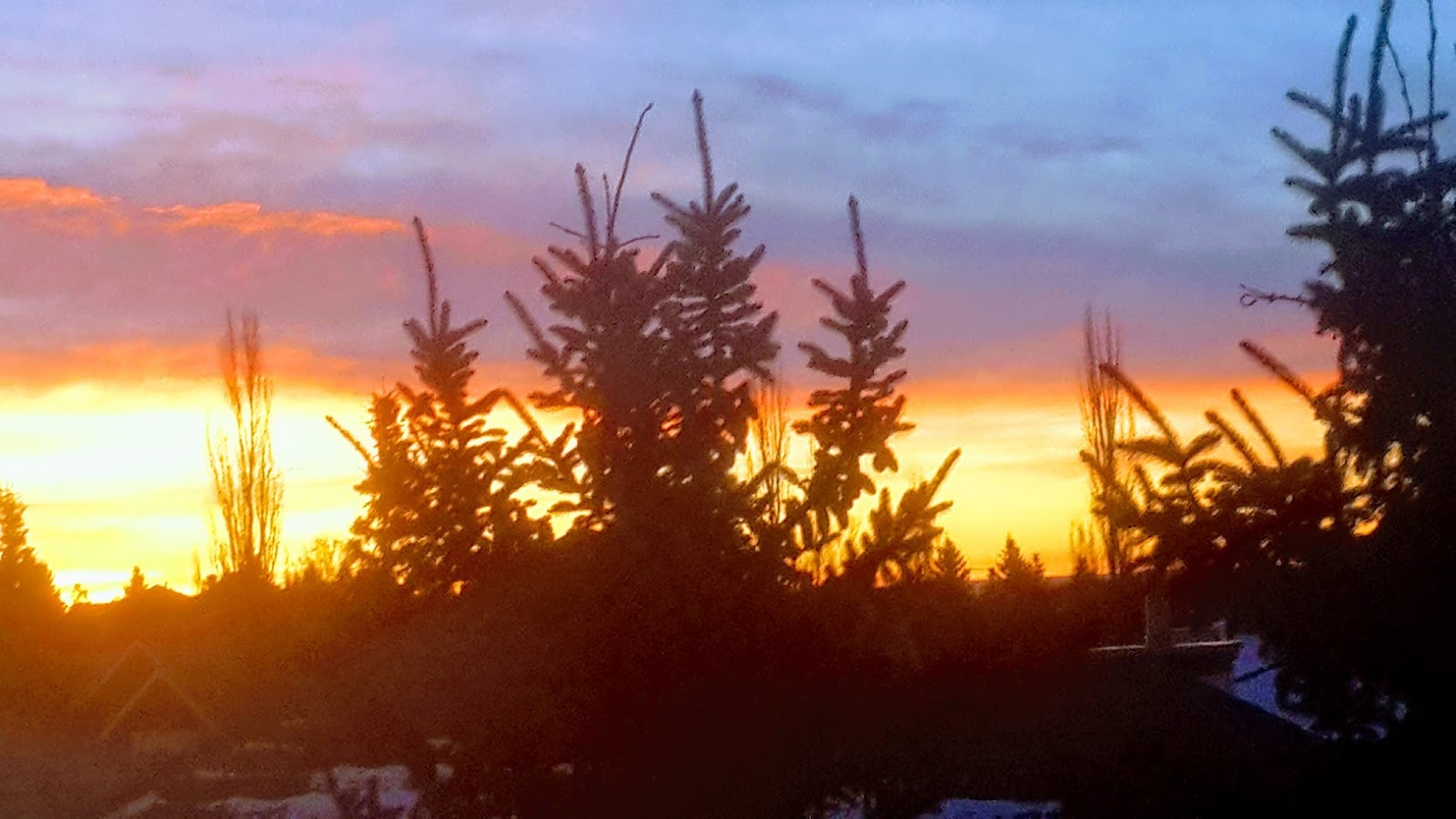 Sunshine Ben, Beatrice