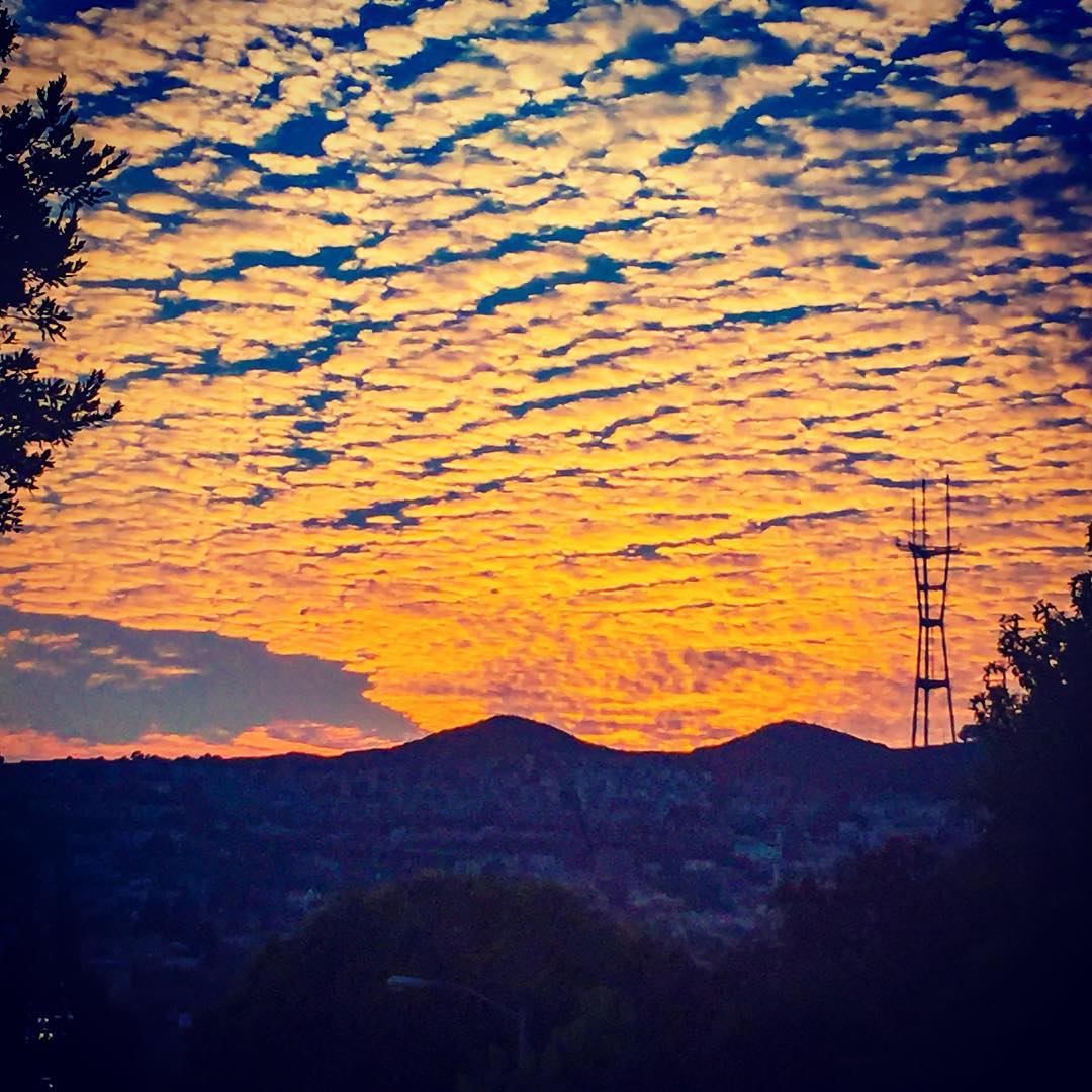 This Year in Noe Valley The Big Stories of 2017 Noe Valley SF