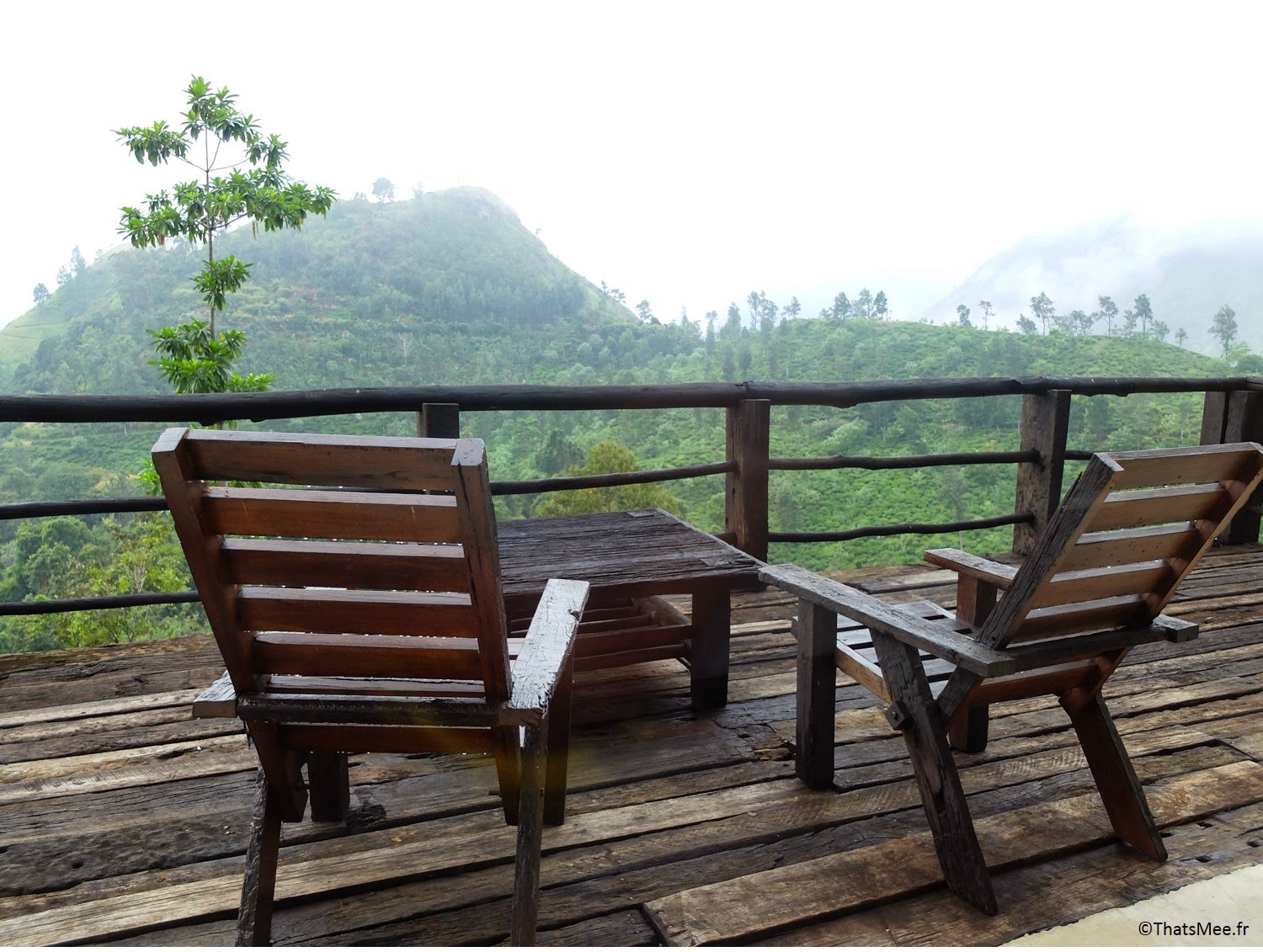 Terrasse du bungalow hutte bois sauvage nature 98 acres resort hotel Ella Sri-Lanka