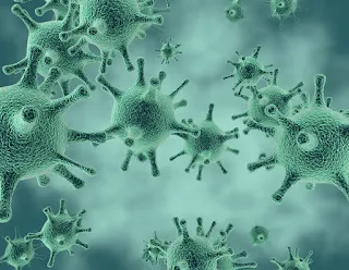 Our universe can be infected with extraterrestrial viruses
