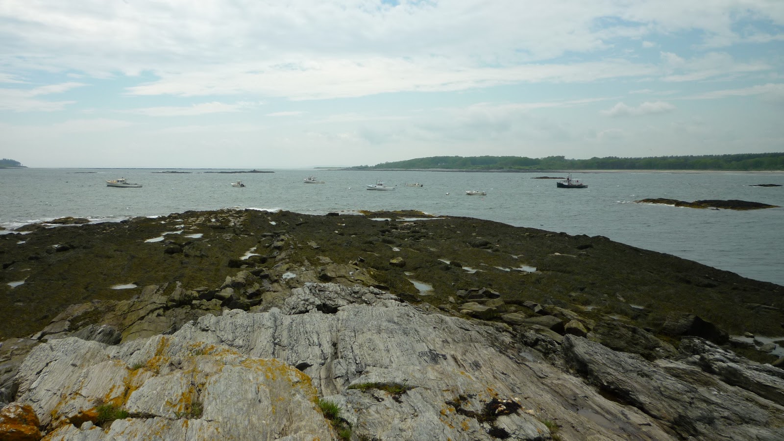 Daily Pics photographs by CarenMarie Michel Kettle Cove, Cape