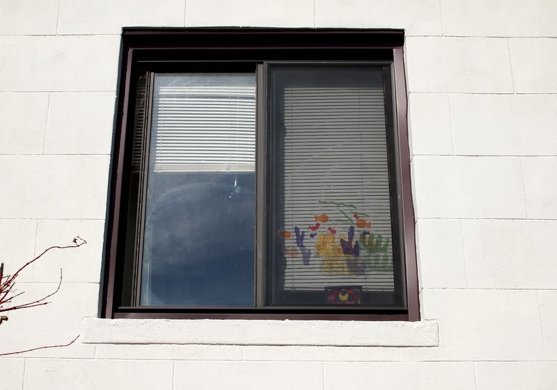 Cellophane Stained Glass Windows Pink Stripey Socks