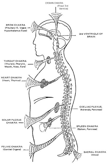 The Gate Of Choice: Chakras And The Ductless Glands