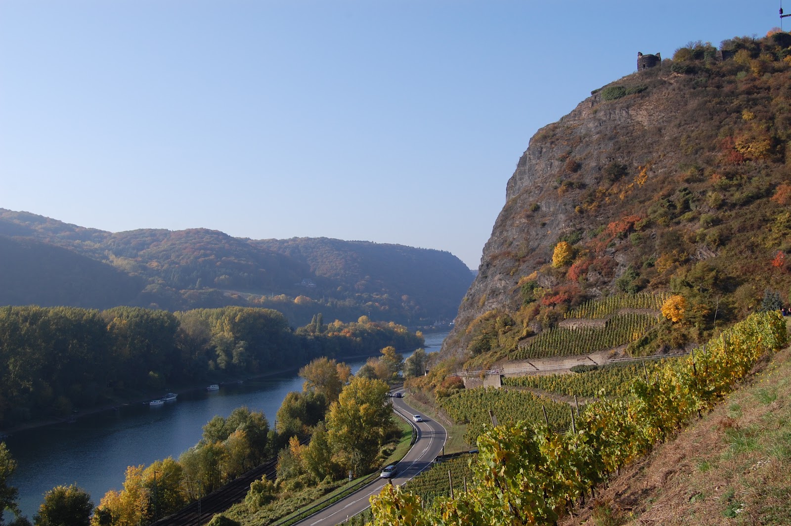 Weinbruderschaft MittelrheinSiebengebirge Hammerstein