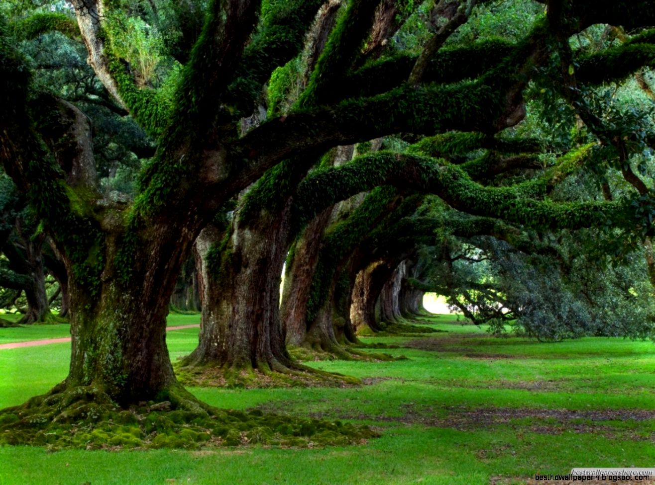 Amazing Nature  The Conservative Conspiracy Forum