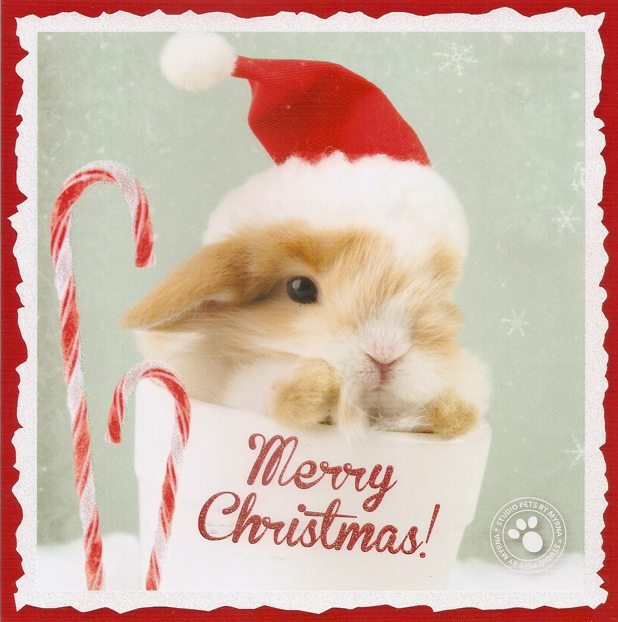 PippiLottaPirat Bunny Christmas Postcards from Carla from Netherlands