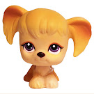 Littlest Pet Shop Singles Spaniel (#291) Pet