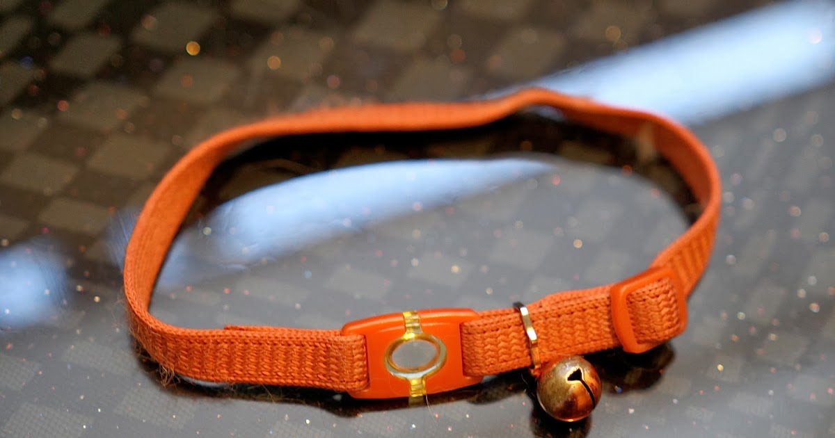 Epbot Quick Craft Make Your Own Custom Cat Collar