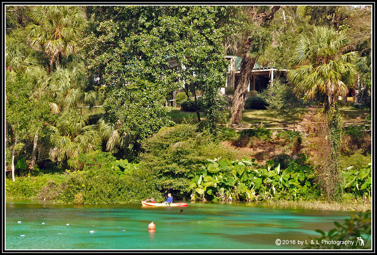 Ocala, Central Florida & Beyond Kayaking at Rainbow Springs December