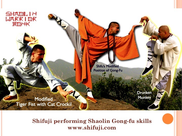  Grandmaster Shifuji Commando Trainer
