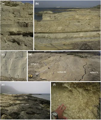 Human footprints recently discovered on the island of Crete are 5.7 million years old.