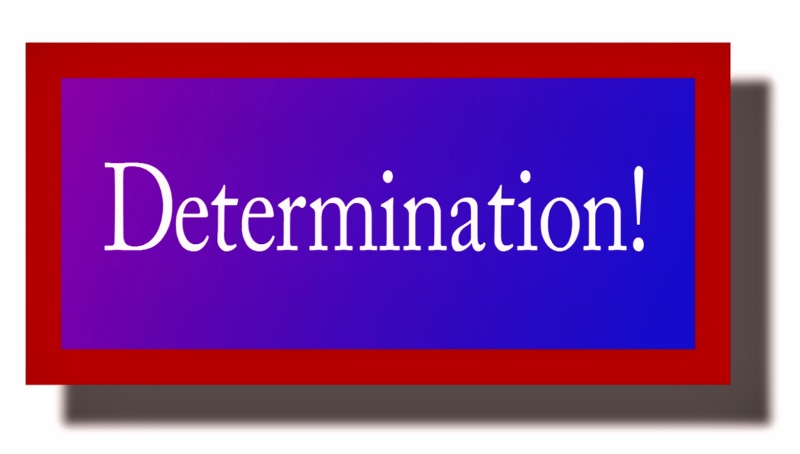 Ramblings...Essays and Such... Determination!