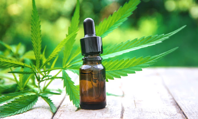 El Ejecutivo publicó reglamento para la ley de cannabis medicinal y derivados