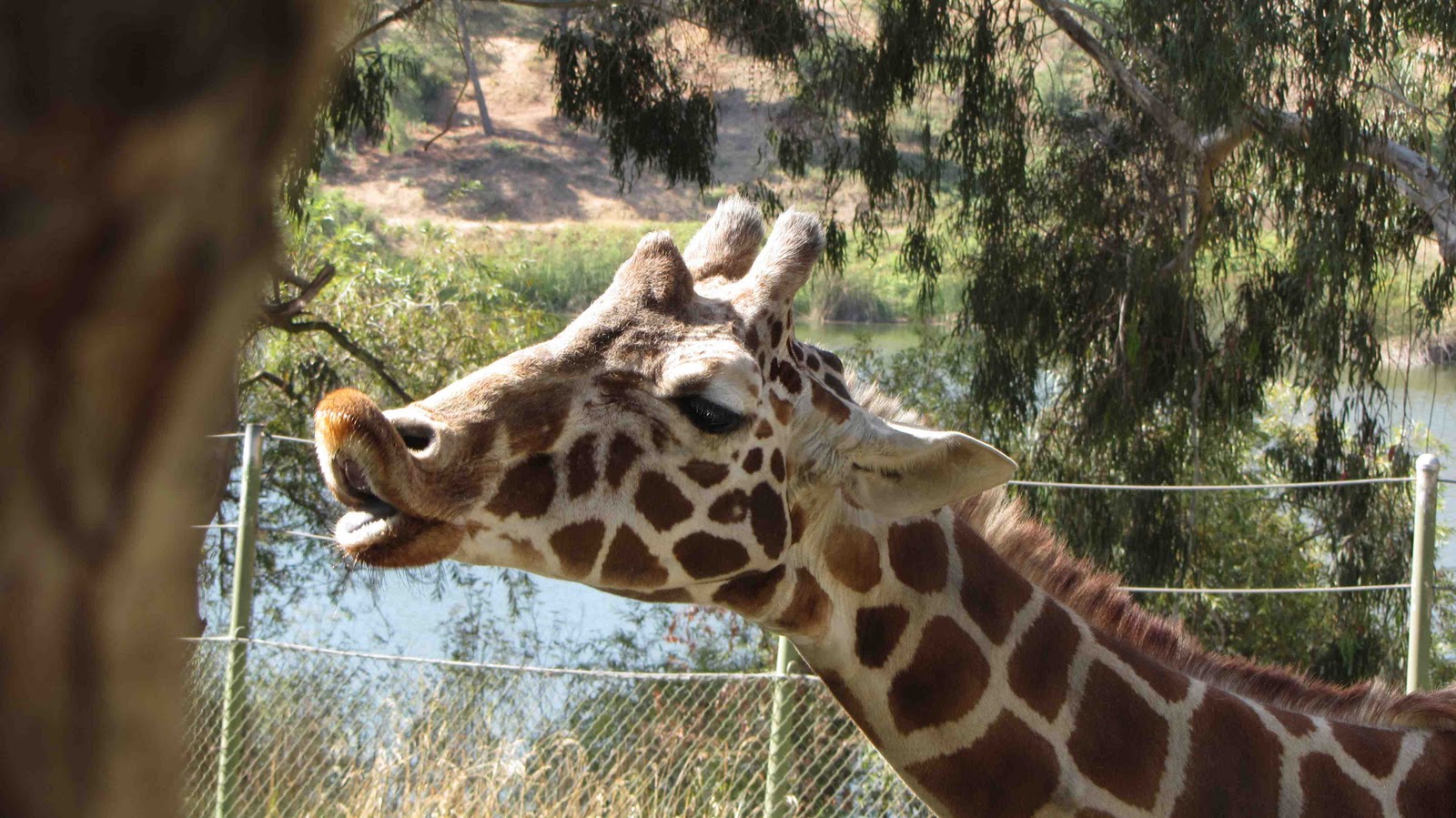 awesome-couple-discovers-westcoast-by-truck-six-flags-park-vallejo