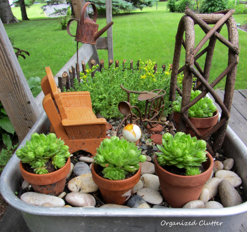 Miniature Garden With Terracotta & Succulents www.organizedclutterqueen.blogspot.com