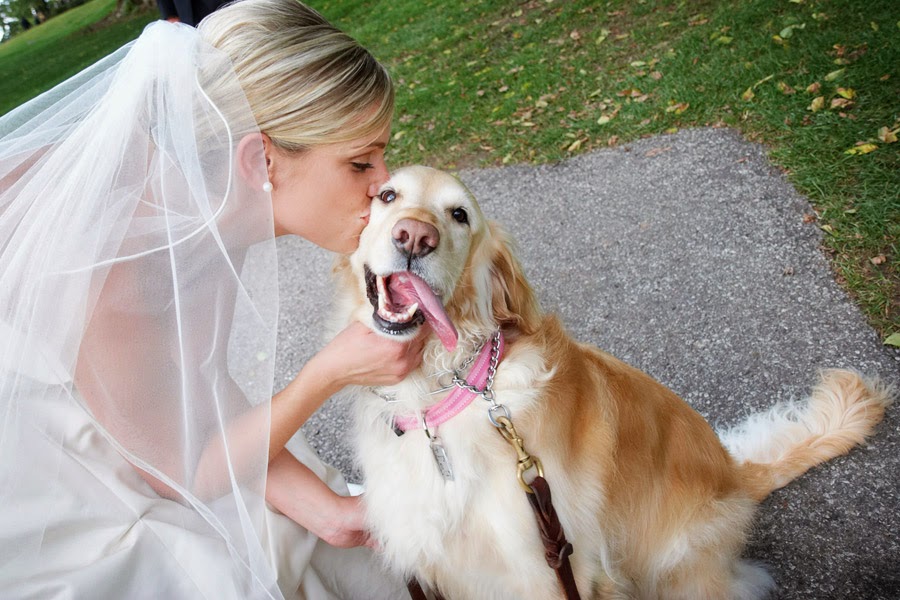 Ideias para incluir o seu cachorro no casamento