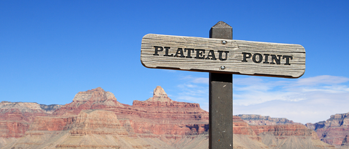 Weight Loss Plateau Myth Muscle Weighs More Than Fat? Cranky Fitnessista