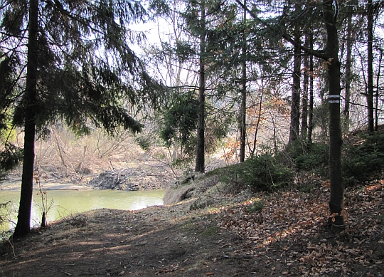 Tu był kiedyś mostek, który przeprowadzał na drugi brzeg Skawy