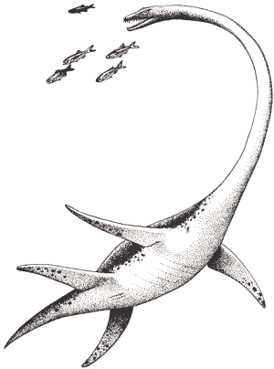 Dinossauros Marinhos Desenho Realista Ilustração Para Enciclopédia