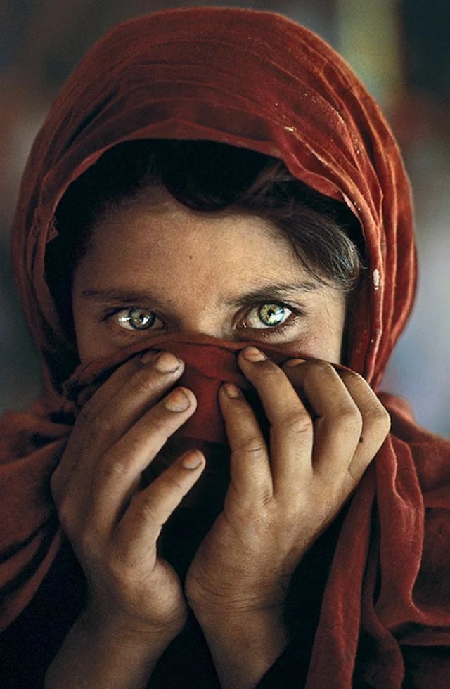 Sharbat Gula, 1984 by Steve McCurry