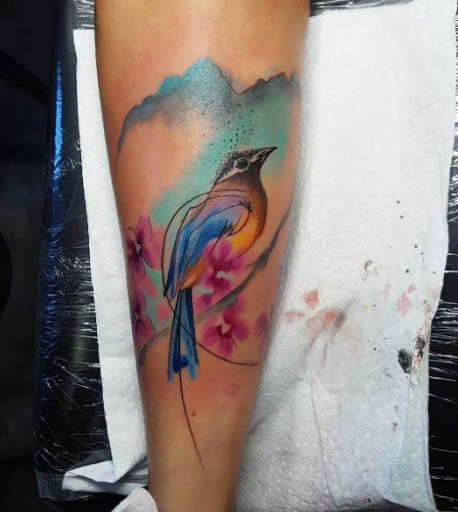 Esta bela aquarela pássaro