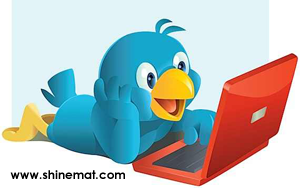 Twitter Bird With PC By ShineMat.com