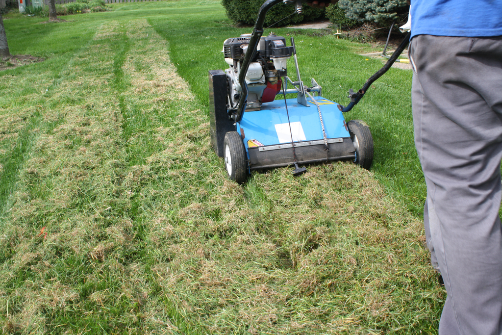 What exactly is Power Raking? Best Manual Lawn Aerator