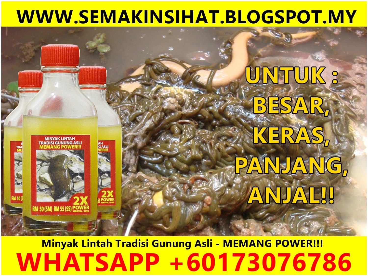 PEMBEKAL MINYAK LINTAH TRADISI GUNUNG ASLI KHASIAT MINYAK LINTAH