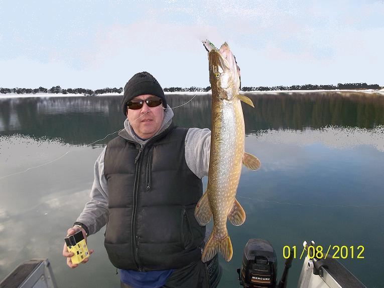 Forever Fishing Washington State Northern Pike Anyone?