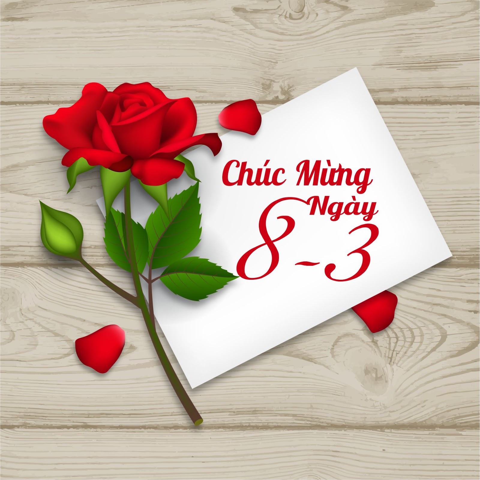 Bộ thiệp chúc mừng ngày quốc tế phụ nữ 83 đẹp Bộ thiệp chúc mừng ngày quốc tế phụ nữ 83 đẹp