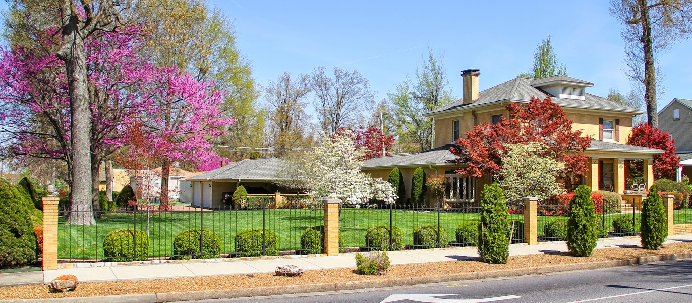 Mark D. McCoy Photography Dogwood Trail Paducah