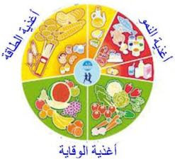 ÙØªÙجة Ø¨ØØ« Ø§ÙØµÙر ع٠اÙÙ
جÙ
ÙØ¹Ø§Øª Ø§ÙØºØ°Ø§Ø¦ÙØ© Ø§ÙØ«Ùاث