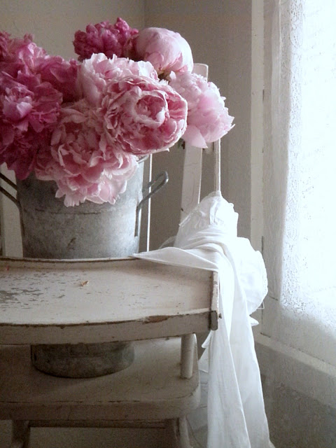 Cabin & Cottage : Peonies In The Spotlight