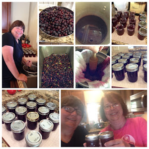 Making grape jelly!