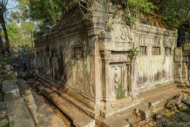 Beng Mealea - Cambodge