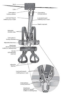 Teluk Naga Mas: Flying Fox