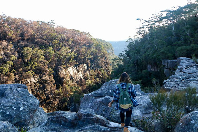Carrington Falls Hike NSW Australia