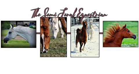 The Semi Feral Equestrian