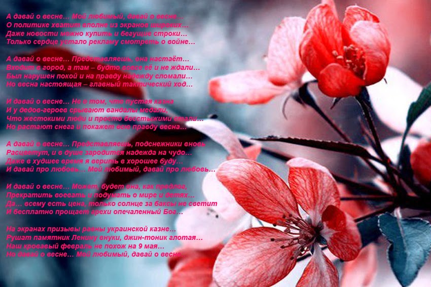 в надежде на чудо текст