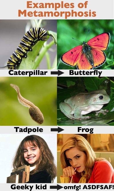 TISOTIT: Examples of Metamorphosis
