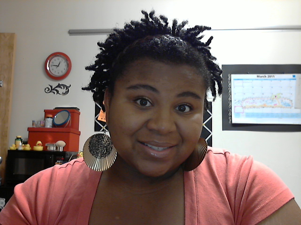 Naturalgmonet S Blog 4c Mini Twists W Oyin Handmade