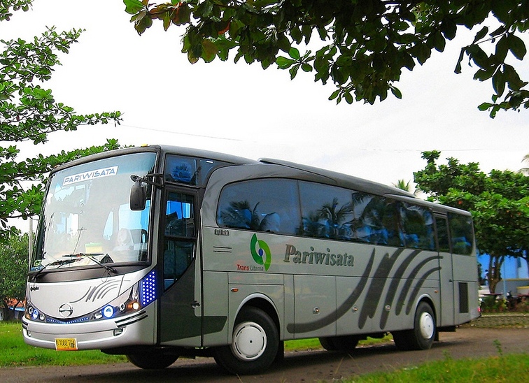 Delta Pariwisata Bus: Mengurai Potensi dan Tantangan Transportasi Darat di Era Digital