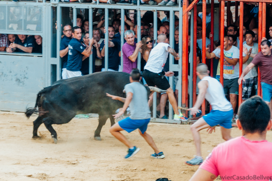 toros en Valencia