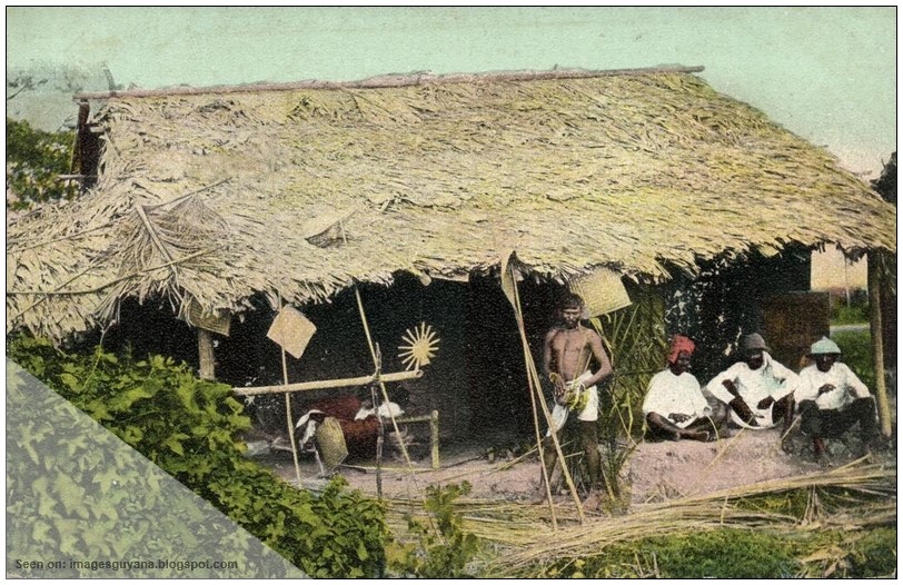 ImagesGuyana The East Indians in British Guiana