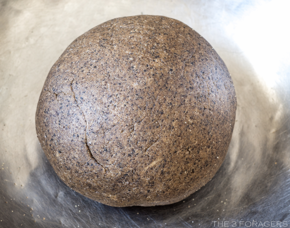 The 3 Foragers Foraging for Wild, Natural, Organic Food Black Trumpet