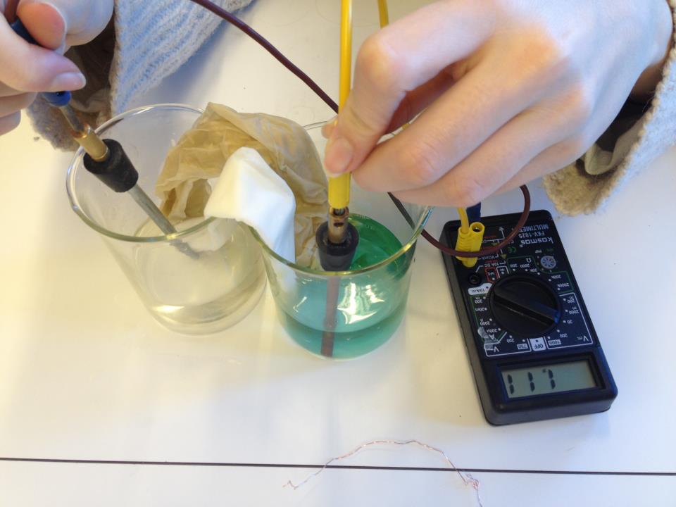 Julieécrit DANIELLCELLEN / GALVANISK ELEMENT