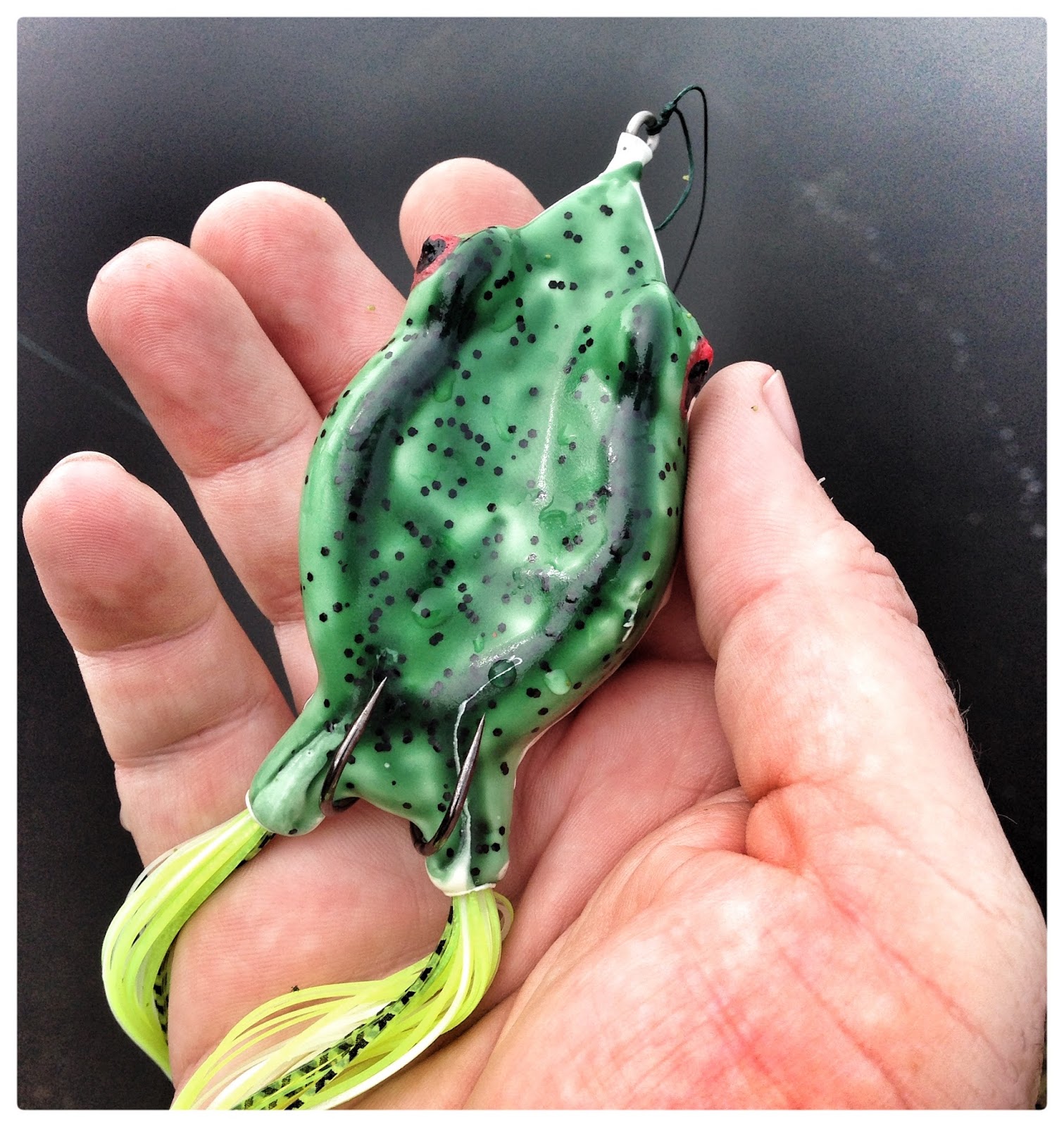 Bass Junkies Frog Pond Mann's Goliath Frog Review