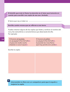 Apoyo Primaria Español 2do grado Bloque 3 lección 3 Un buen observador