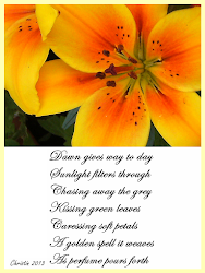 poems flower poetry poem flowers quotes sunlit christin famous quotesgram