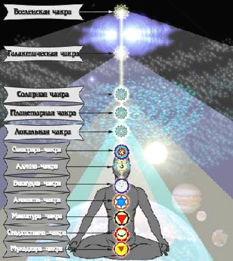 Высшие уровни духовного развития. Энергетические центры человека чакры. Внетелесные чакры человека. Чакровая система человека 8 чакра. 12 Чакр человека.